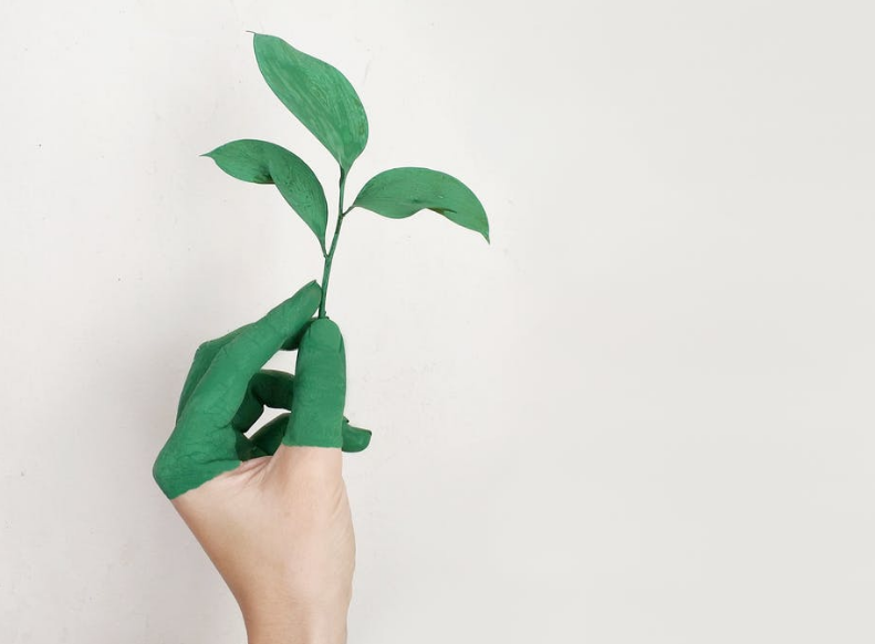 greenhand不是绿手