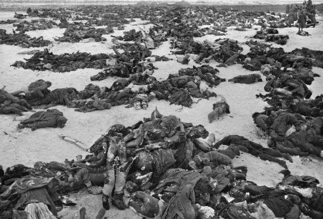 bitethedust不是啃了尘土